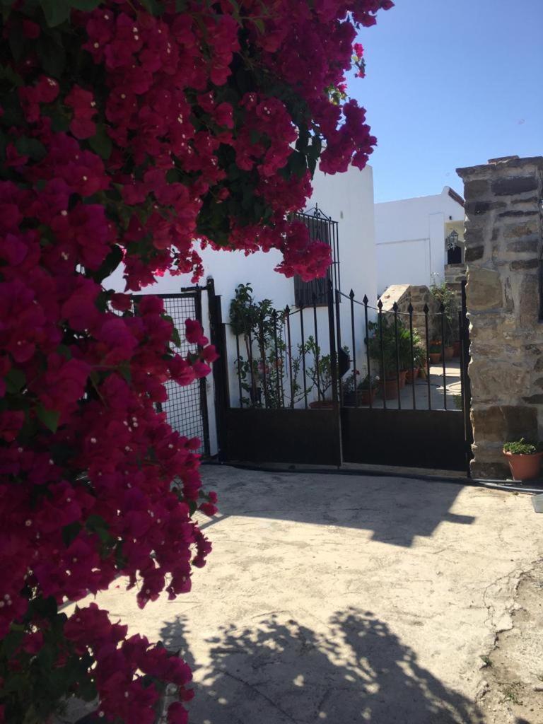 Apartamento Las Adelfas Tarifa Luaran gambar
