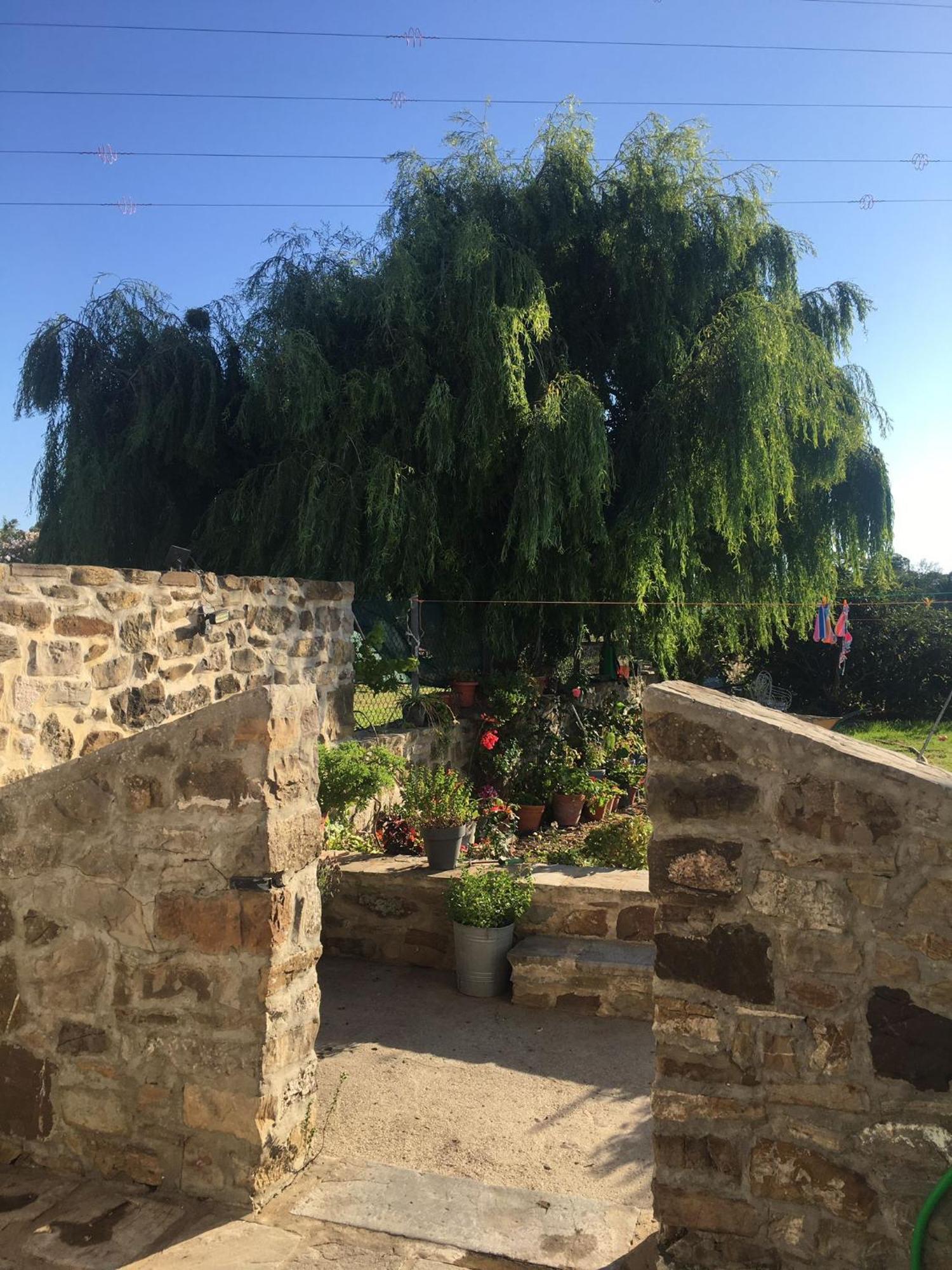Apartamento Las Adelfas Tarifa Luaran gambar